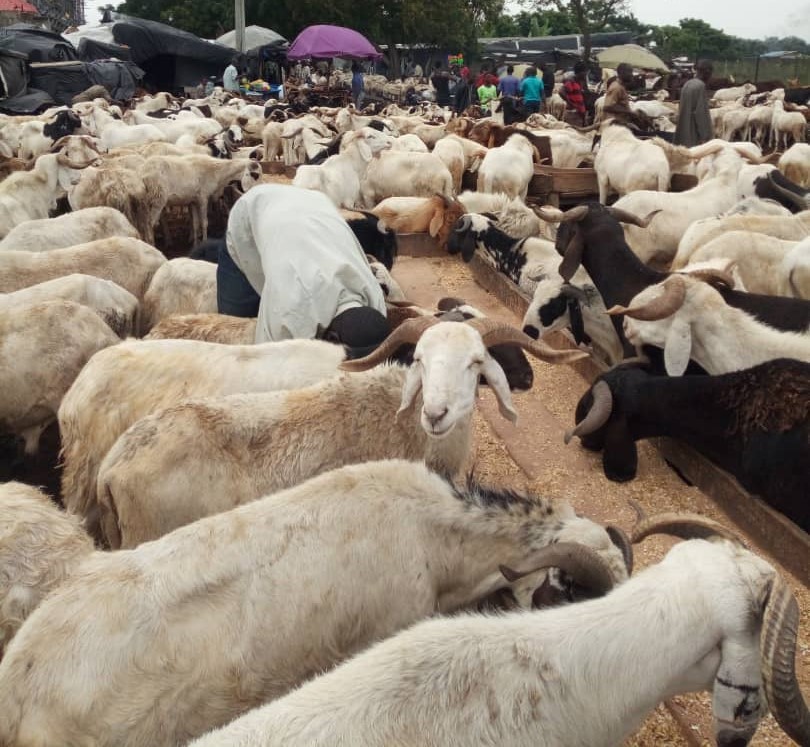 Sallah